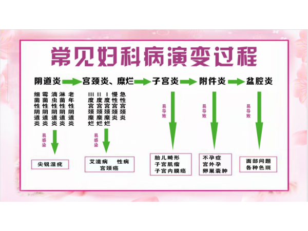 呂易圣婦潔凈中藥包