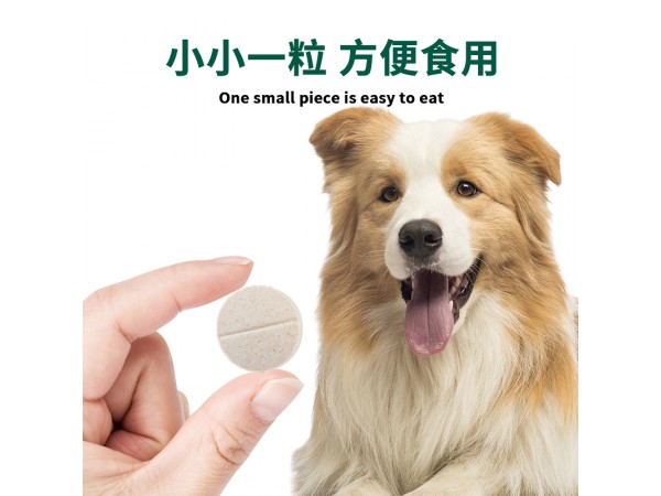 寵物營(yíng)養(yǎng)補(bǔ)充劑老年期犬鈣片加工生產(chǎn)