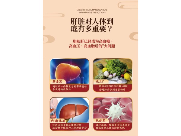 穴位貼敷治療貼（護(hù)肝貼）