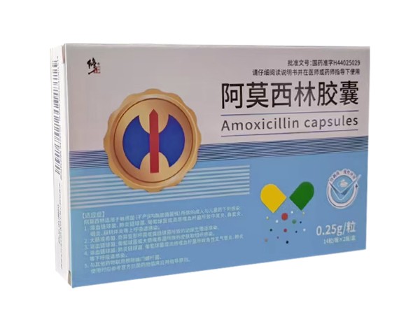 修正阿莫西林膠囊