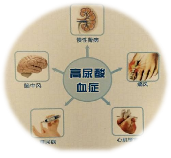圖片1.png