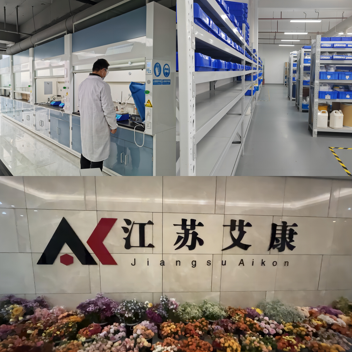 三張合集圖.png