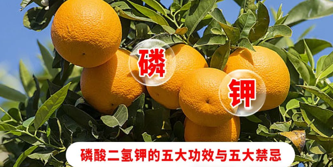 微信圖片_20240517154620.png