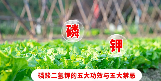 微信圖片_20240517154829.png